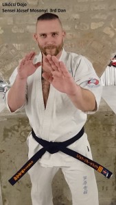 sensei_jozsef_mosonyi